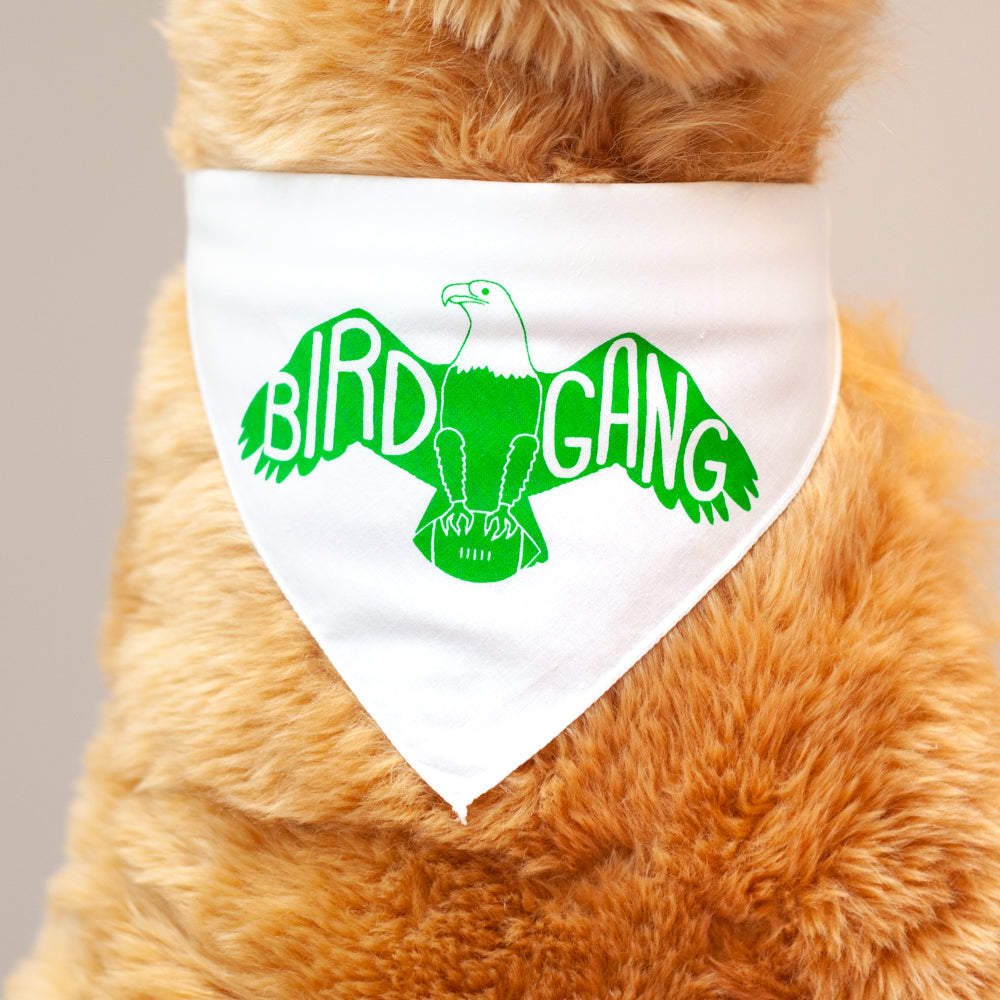 Philadelphia Eagles Dog Bandana